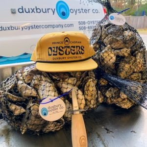 Prince Caspian Oysters Gold Hat